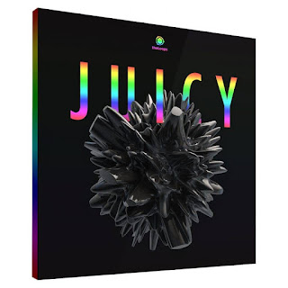 https://www.thaloops.com/juicy-hip-hop-sample-pack