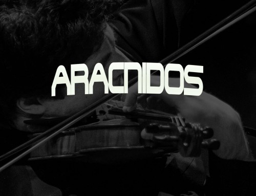 Nuevo Beat Gratuito ► ARACNIDOS