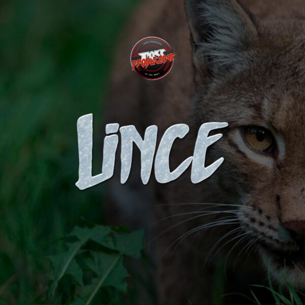 Lince