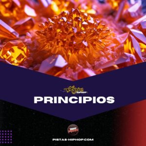 Principios