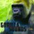 Gorilla-Sounds-compressor-3.jpg Gorilla Sounds