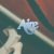 aire-compressor-2.jpg Aire