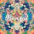 bonzai-compressor-1.jpg Bonzai