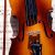 musical-leisure activity-200px-200px-200x200-5.jpg Alguacil